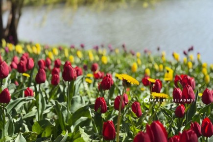 ������ ����, ��������!. ������� �� ����� �������� ������