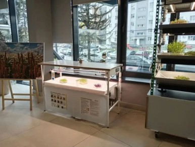 �������� ��-�������� ������������ ������� �������� ����������� �������������������� ��������