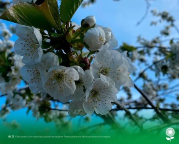 30 ������. ����������� ������� 10�C, ���������� ����������, ��������������� �����