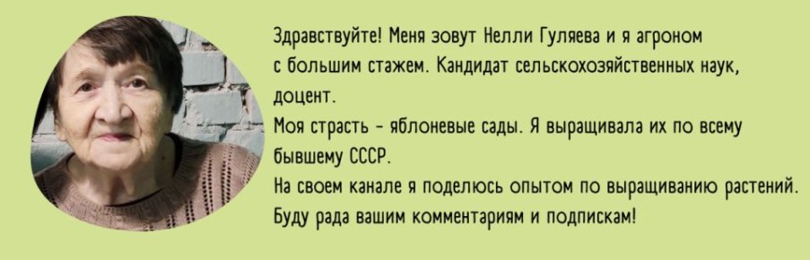 ������� ����� ������: ������� ��������� ���������� ������