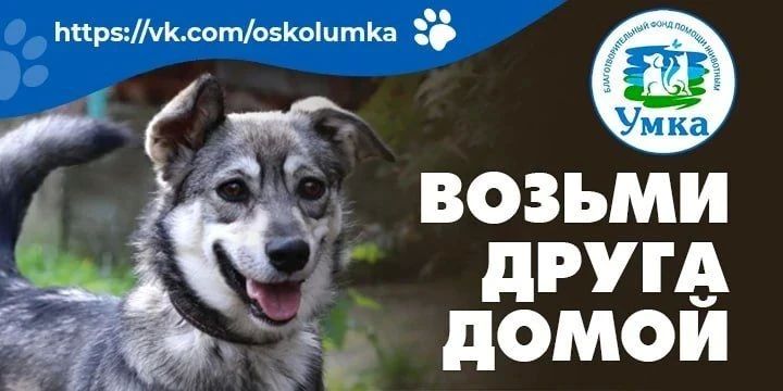 ������ ����� �����. ����������������� ���� ����� ��������� ����� ��� ���, ��� ���� ���������� �����