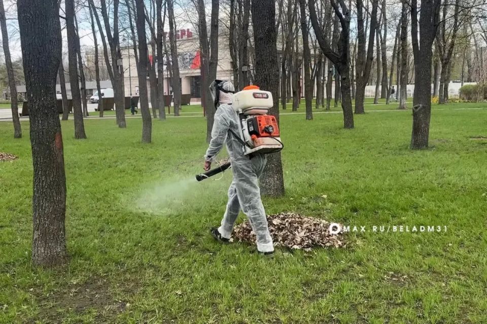 ������, 6 ���, � ��������� ����� ��������� ����������� ��������� ������������ �����������