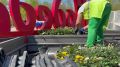 �������� �������: ���� ������������ ������ � ����������� ��������� ���������� ������ � ������������ ��� ������