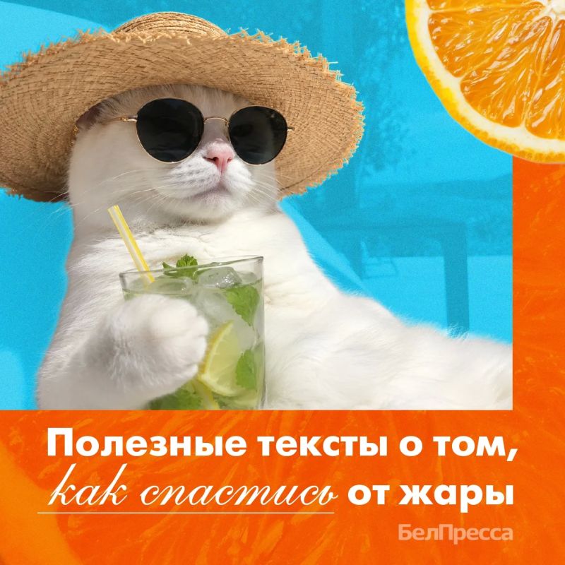 Как вам погода за окном?. Летняя жара установилась в Белгородской области буквально за несколько дней