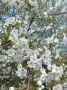 ������ ����, ����������!. ������� ������ ��������� �������� ������ � ������ ���������� �� +29�