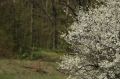 ��������� ����� ������ � ����������� �����!