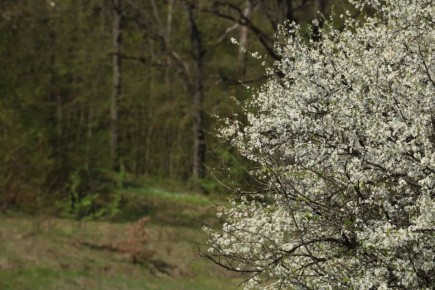 ��������� ����� ������ � ����������� �����!