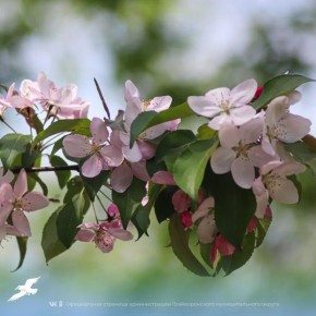 � ������ �������� ������ �������� ������� ������