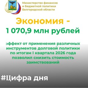 В целях снижения расходов на обслуживание государственного долга Белгородской области используется ряд инструментов по управлению остатками на счетах областного бюджета и государственным долгом