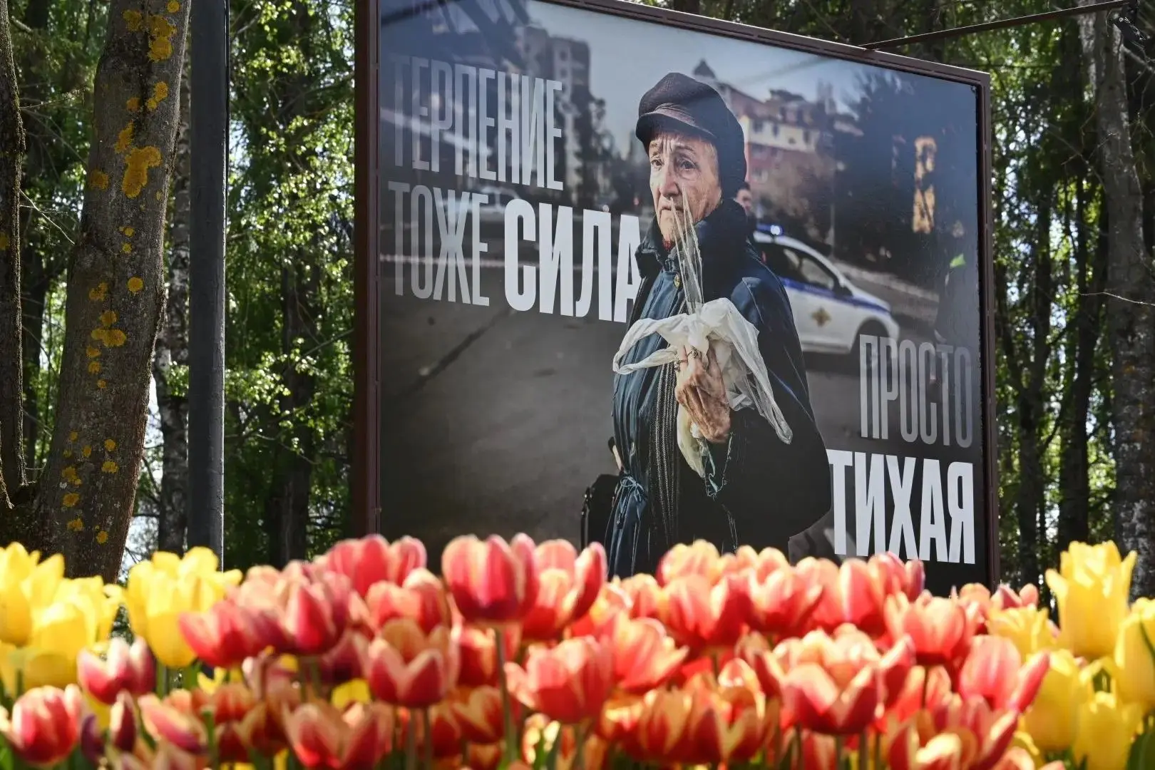 В парке Победы Белгорода открылась выставка «Город, который живёт и становится сильнее» В парке Победы Белгорода открылась выставка «Город, который живёт и становится сильнее»