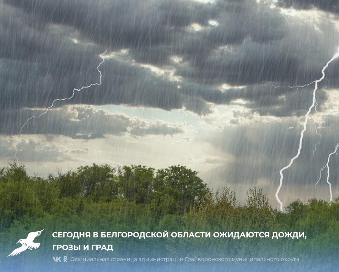 Сегодня в Белгородской области ожидаются дожди, грозы и град