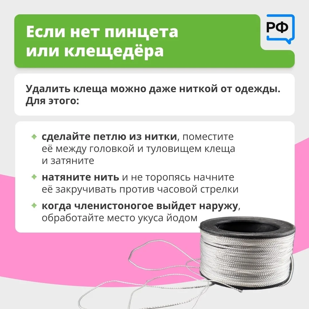 Вместе с клещом можно подцепить опасные болезни Вместе с клещом можно подцепить опасные болезни