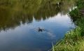 Белгородские водоёмы проверят на тяжёлые металлы и токсины