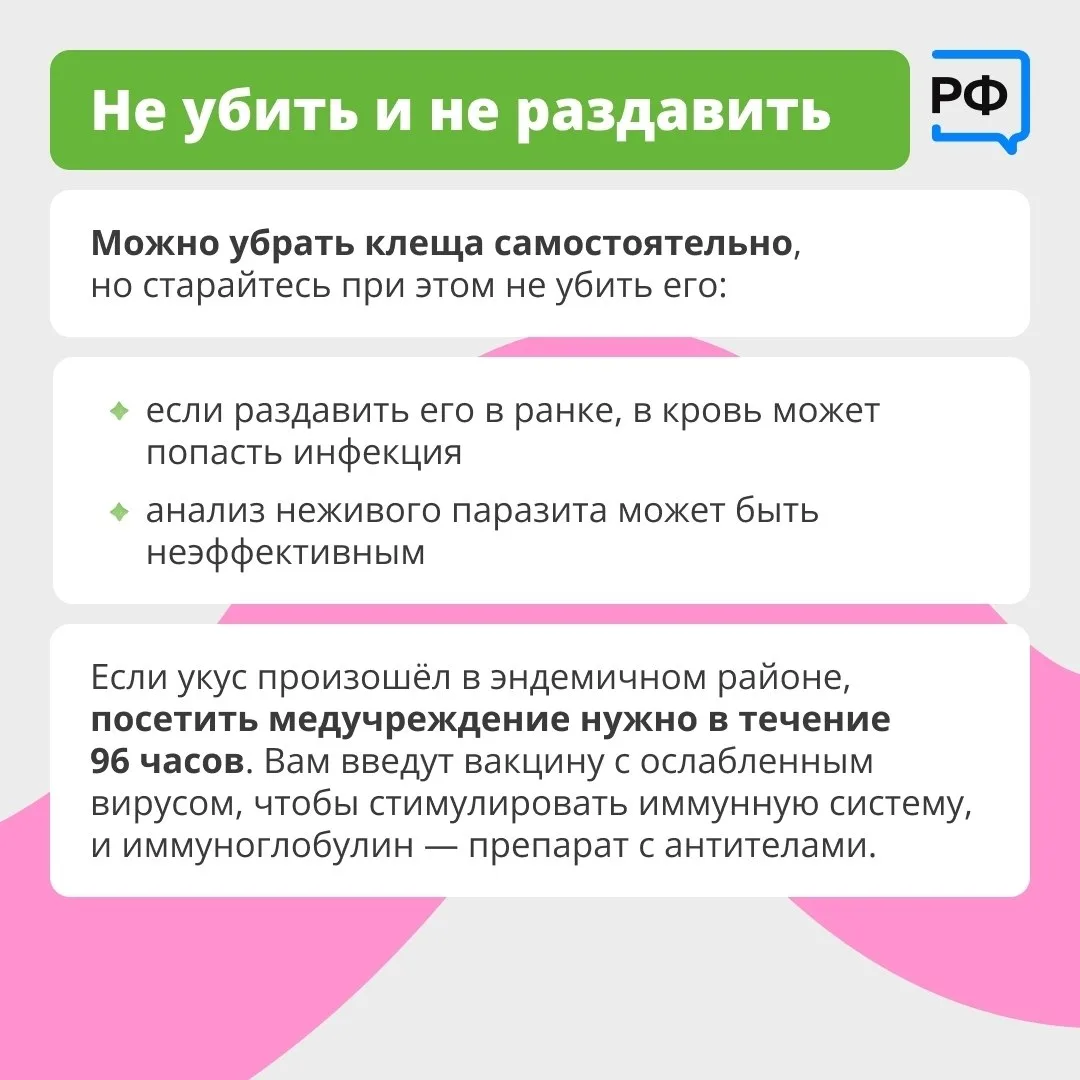 Вместе с клещом можно подцепить опасные болезни Вместе с клещом можно подцепить опасные болезни