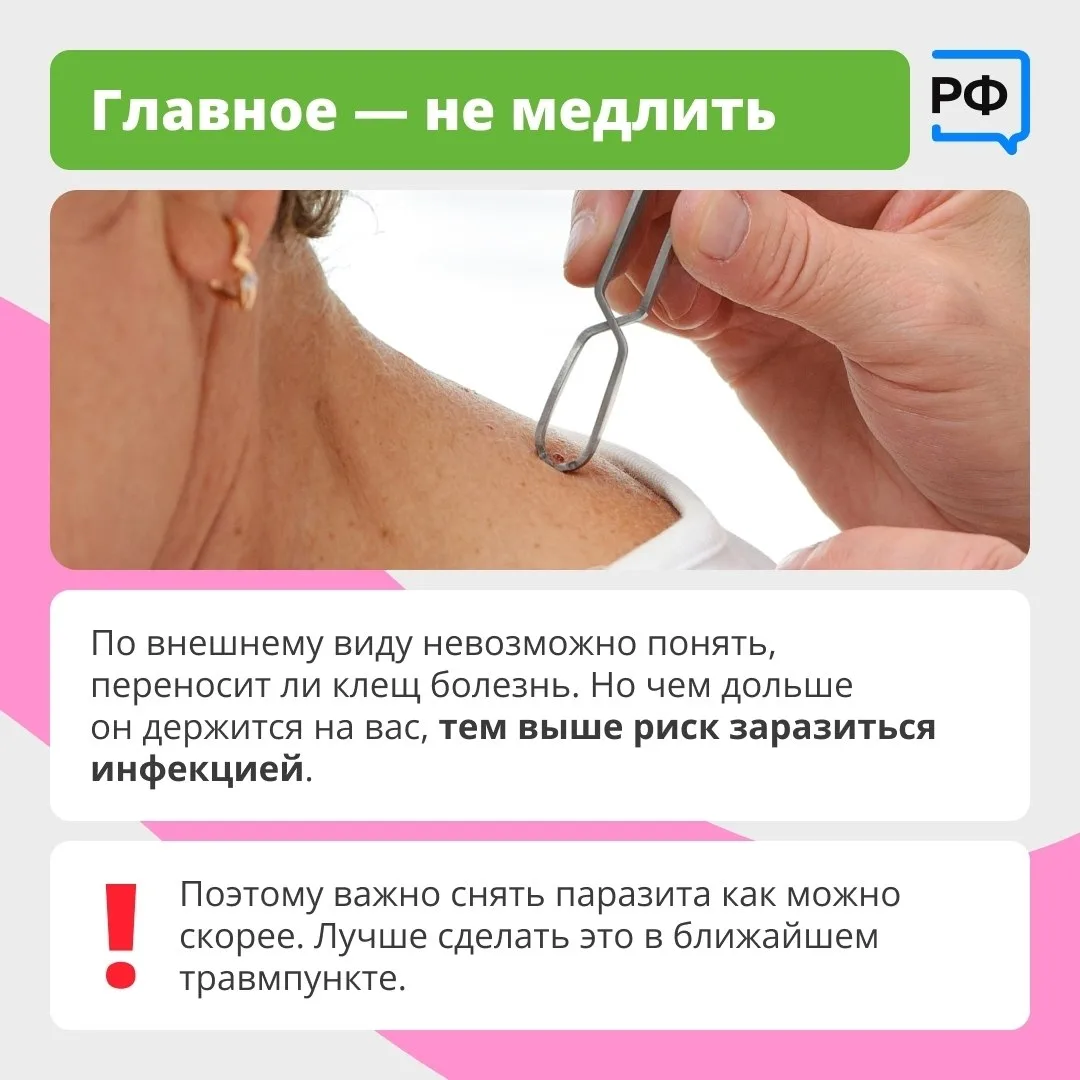 Вместе с клещом можно подцепить опасные болезни Вместе с клещом можно подцепить опасные болезни