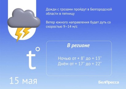 Туман и дожди с грозами прогнозируют синоптики белгородцам на пятницу