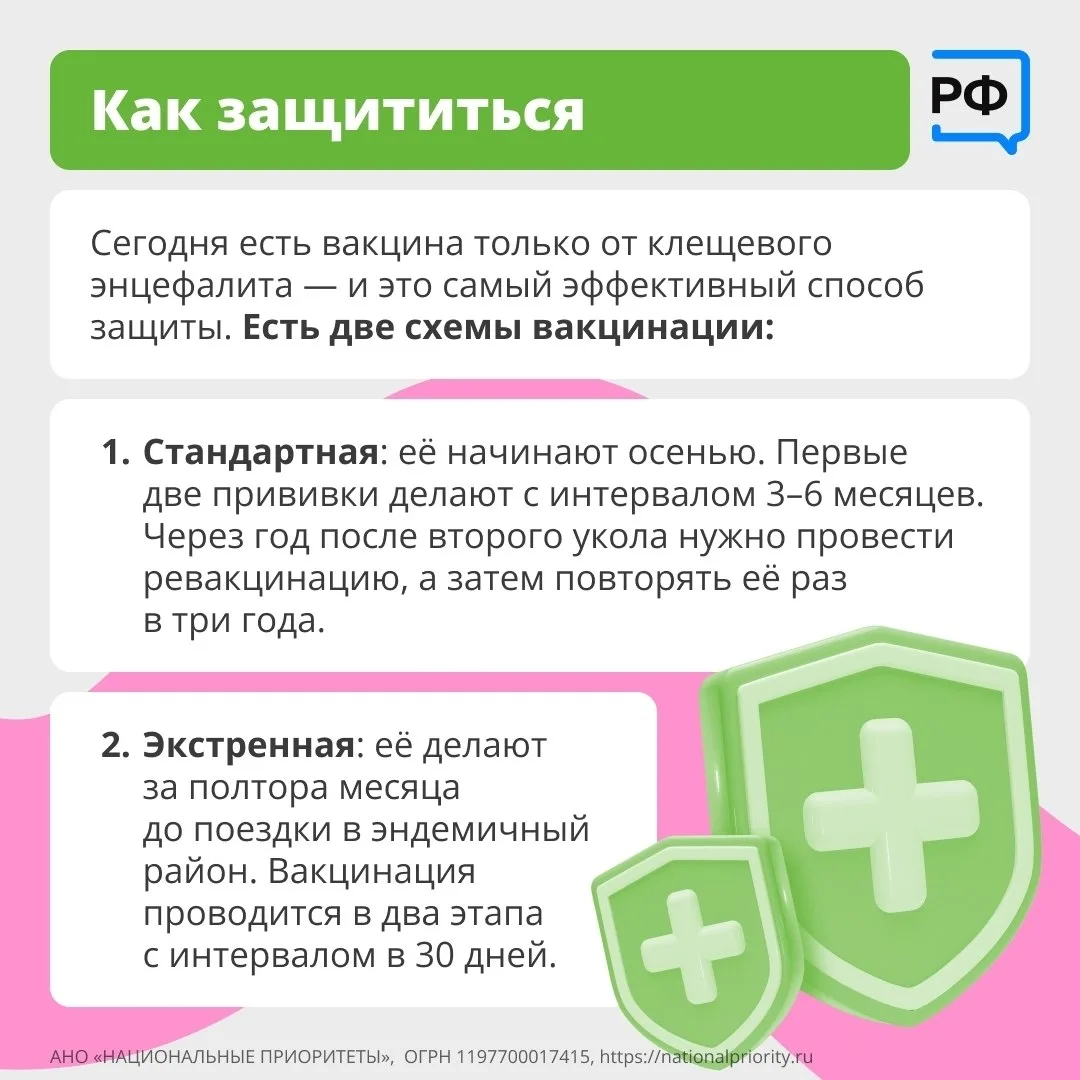 Вместе с клещом можно подцепить опасные болезни Вместе с клещом можно подцепить опасные болезни