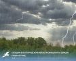 Сегодня в Белгородской области ожидаются дожди, грозы и град