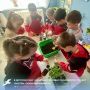 В детском саду «Капелька» активно реализуется проект «Растём, чтобы выращивать»