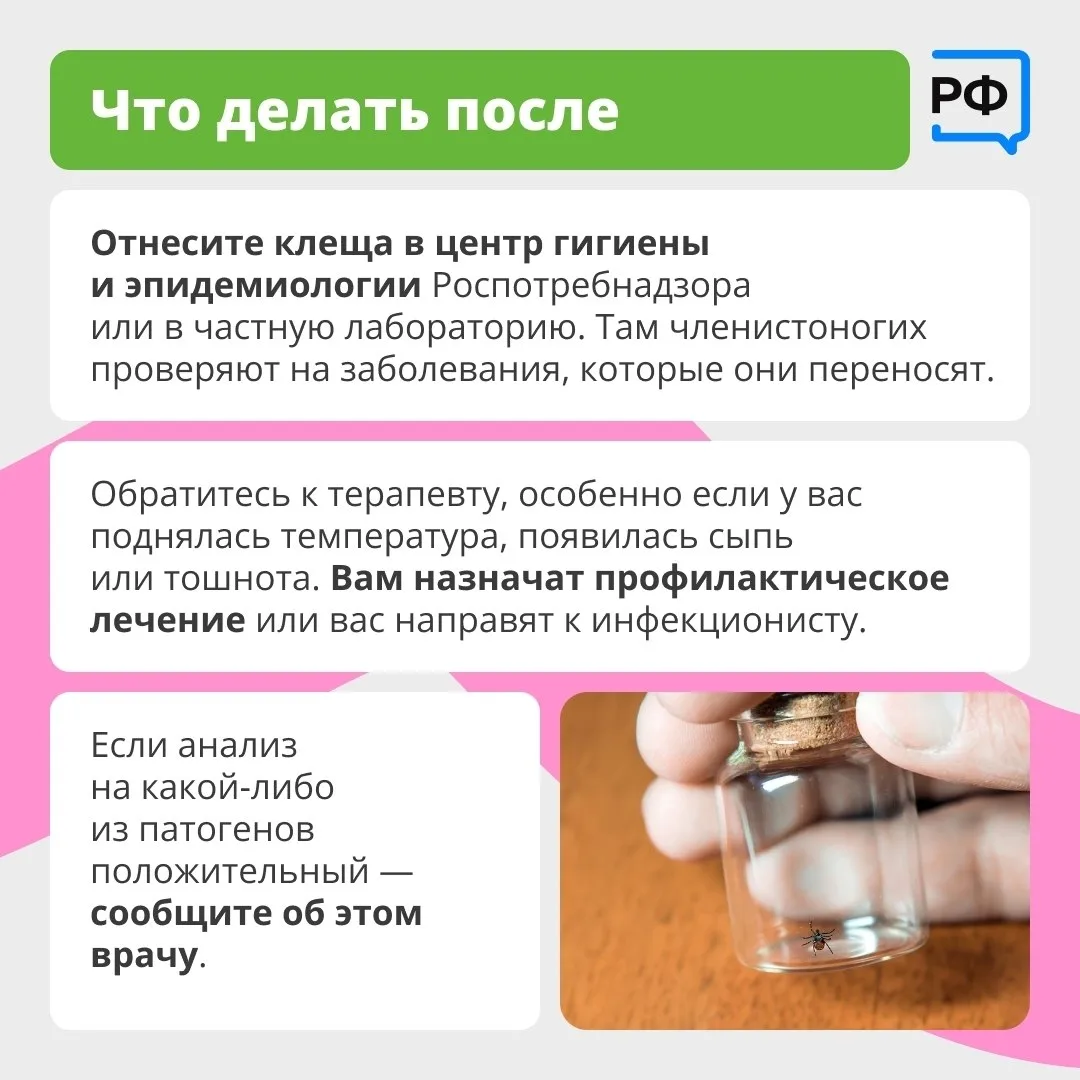Вместе с клещом можно подцепить опасные болезни Вместе с клещом можно подцепить опасные болезни
