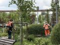 В городе Шебекино продолжаются работы по благоустройству и подготовке к летнему сезону