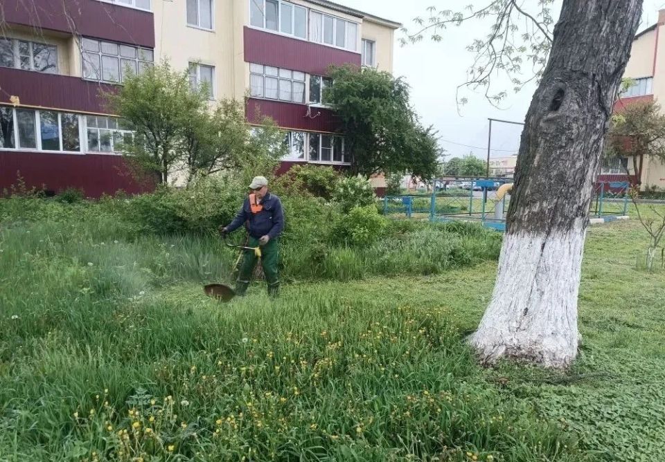 Ракитянский округ продолжает преображаться благодаря стараниям местных жителей Ракитянский округ продолжает преображаться благодаря стараниям местных жителей