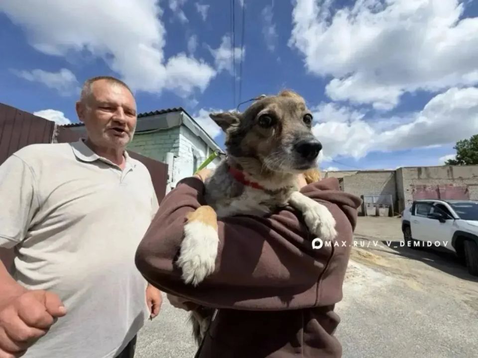 Собаку раненой хозяйки приютили соседи: трогательной историей поделились в мэрии Белгорода