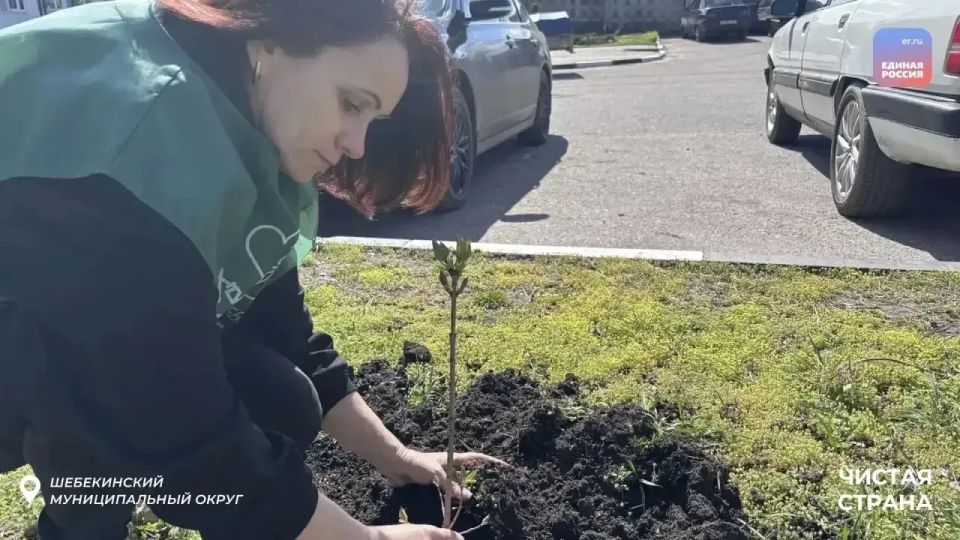Чистая страна начинается с тебя Чистая страна начинается с тебя