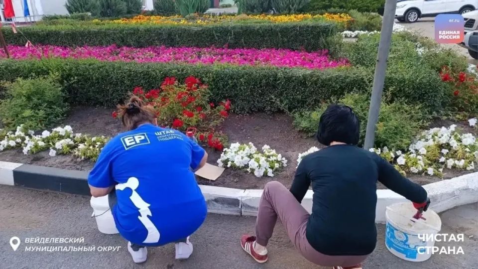 Чистая страна начинается с тебя Чистая страна начинается с тебя