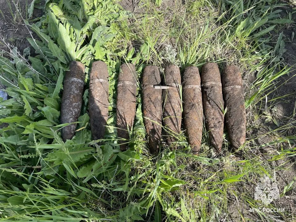За прошедшие сутки в регионе зарегистрировано 5 пожаров За прошедшие сутки в регионе зарегистрировано 5 пожаров