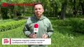 Парк им. Ленина вновь стал местом притяжения белгородцев