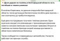 ��������� ���������: ������������ �������: ��� �� ��������