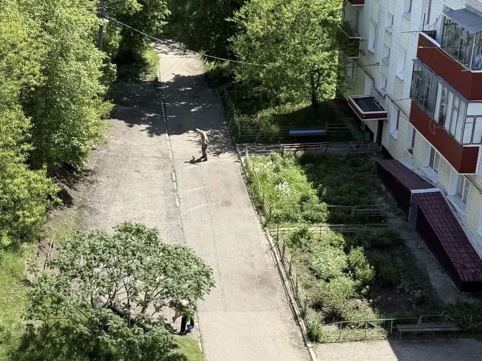 Татьяна Круглякова: Провели особый субботник в Ясных Зорях Татьяна Круглякова: Провели особый субботник в Ясных Зорях