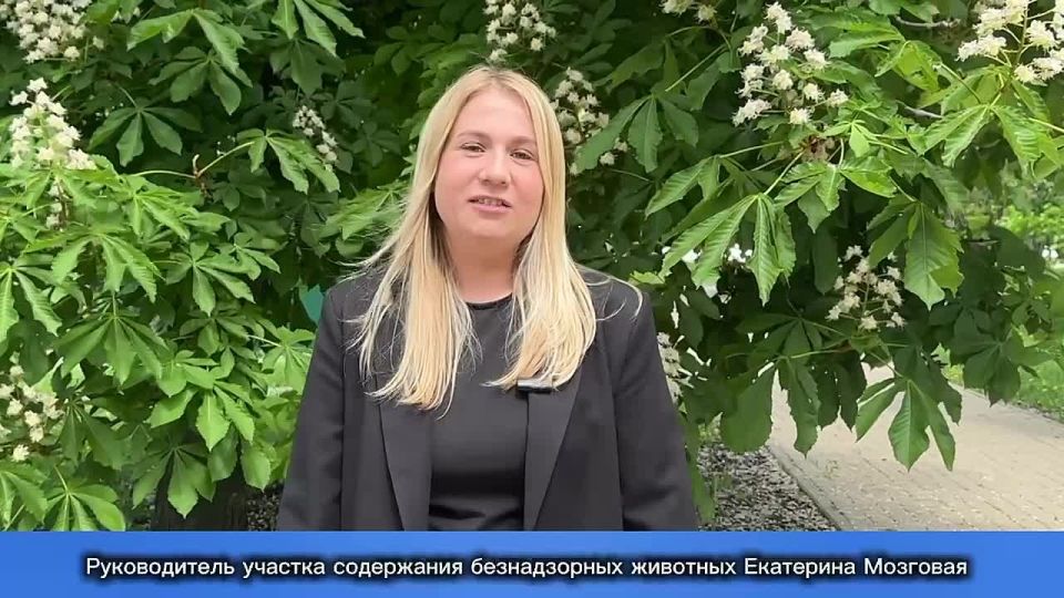 Гуманность начинается с нас!