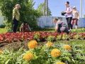 ������� ��������: ������ �� ������� ������ �� ���������� ������ ������ ������������
