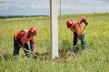 Белгородские энергетики обеспечат электроэнергией более 1,9 тыс