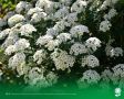 21 ���..����������� ������� 29�C, ���������� ����������, ��� �������