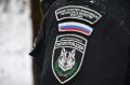 Шебекинский браконьер заплатит 250 тысяч рублей штрафа за смертельный выстрел в оленя