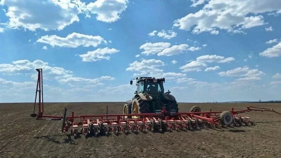 В Старооскольском округе завершается сев ранних зерновых культур
