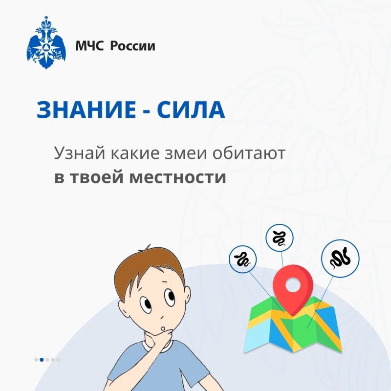 Безопасность на природе: как вести себя при встрече со змеёй