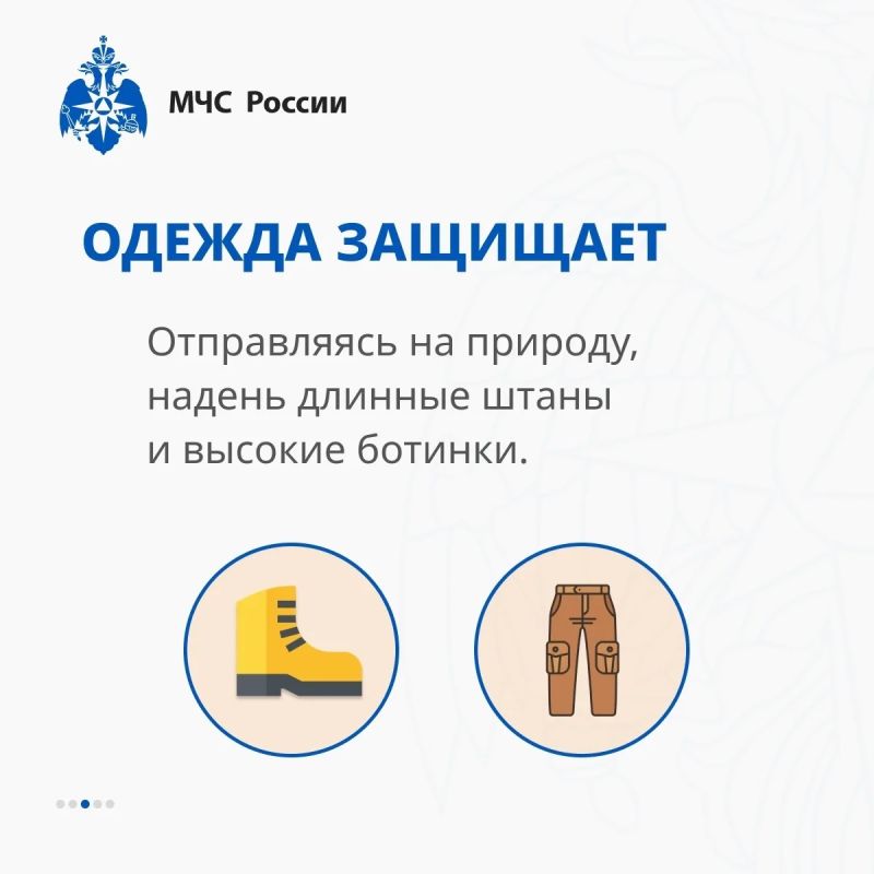 Безопасность на природе: как вести себя при встрече со змеёй Безопасность на природе: как вести себя при встрече со змеёй