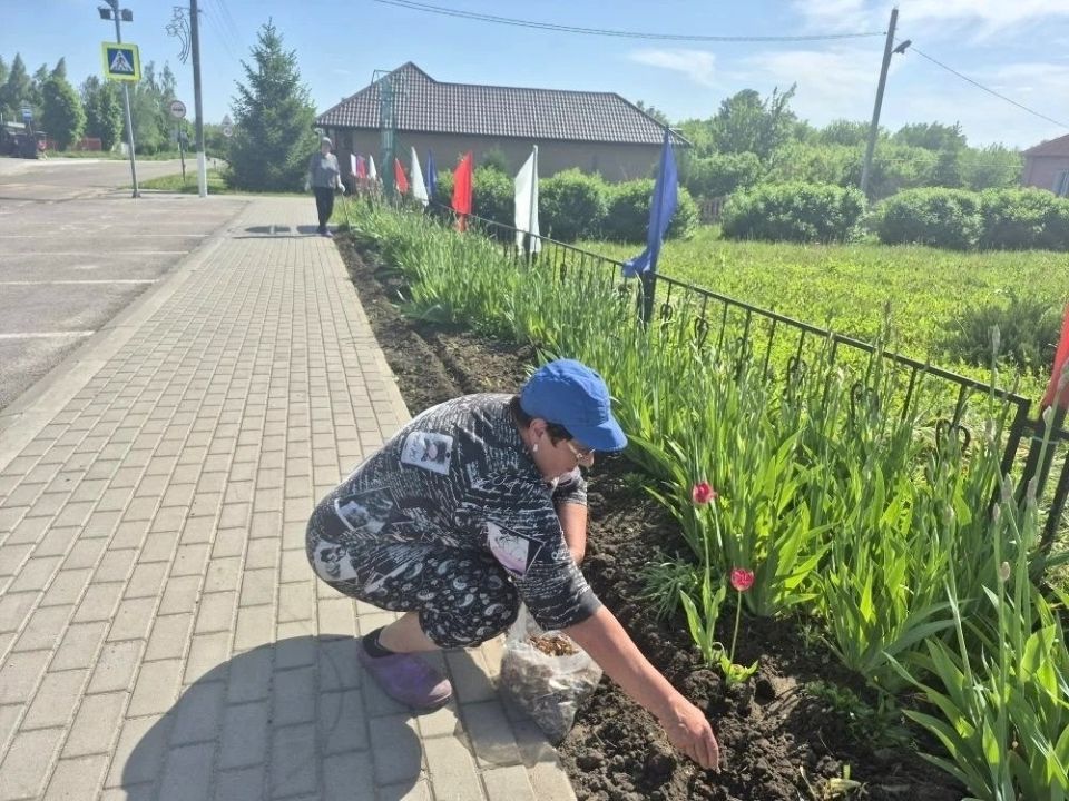В Ракитянском округе продолжается работа по благоустройству В Ракитянском округе продолжается работа по благоустройству