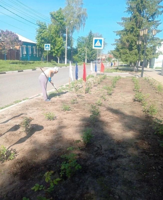 Грайворон преображается: работы по благоустройству продолжаются Грайворон преображается: работы по благоустройству продолжаются