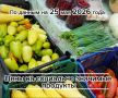Владимир Переверзев: Где дешевле всего купить необходимые продукты в посёлке Борисовка