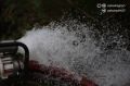 � ���� ��������� ����������� ���������� ��������� ������ ������� ���� �������������