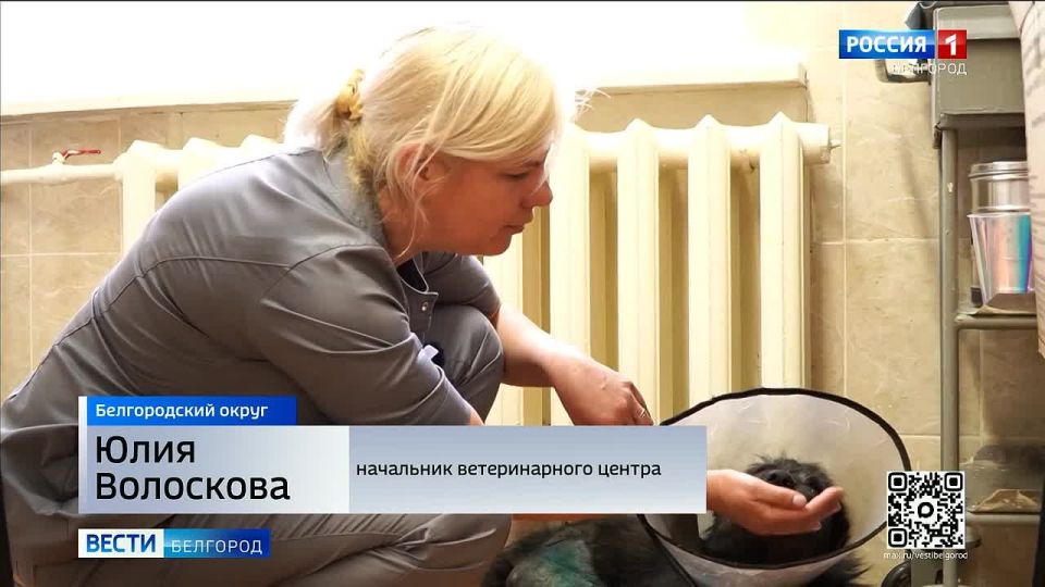 За время спецоперации четвероногие не раз спасали бойцов от гибели