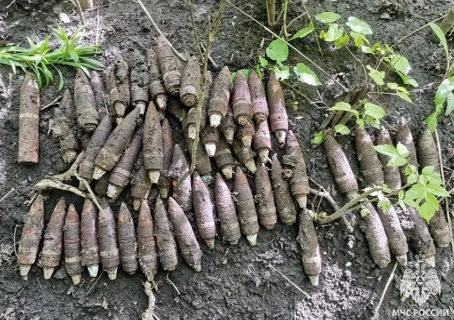 61 боеприпас времён Великой Отечественной войны нашли в Ерике Белгородского округа