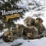 Дорогие жители и уважаемые гости Красногвардейского округа!