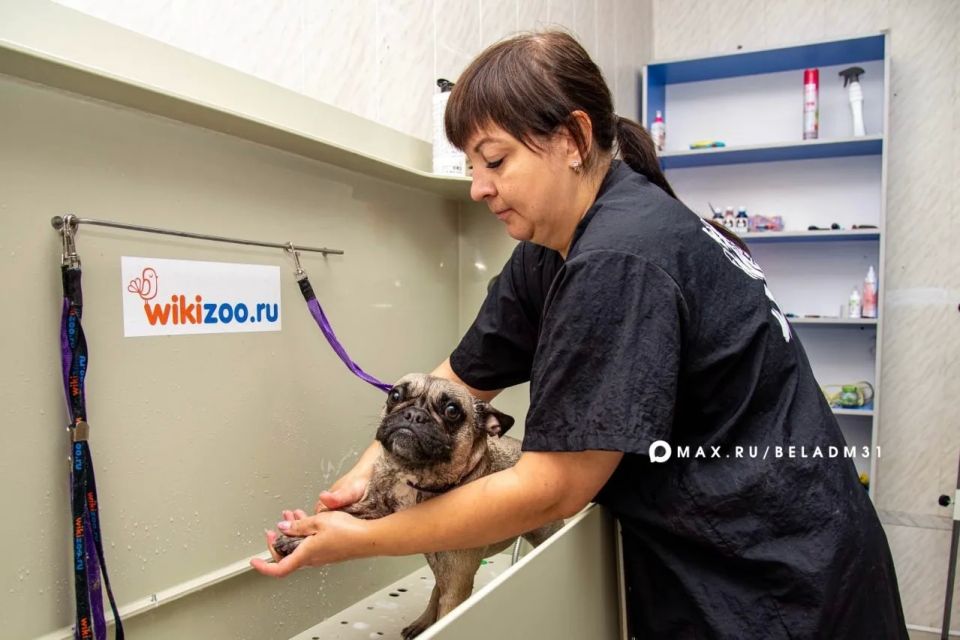 В Год защитника Отечества продолжилась реализация мер поддержки участников СВО и их семей В Год защитника Отечества продолжилась реализация мер поддержки участников СВО и их семей
