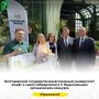 Команда «БелМолодёжь» Белгородского муниципального округа успешно прошла зональный этап спортивного кросса «Рубежи»